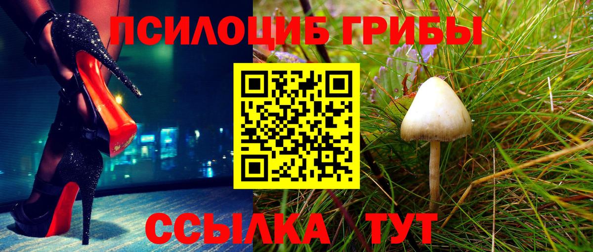 Псилоцибиновые грибы GOLDEN TEACHER Нефтекамск