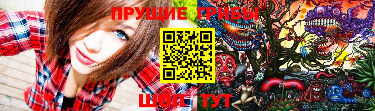 Галлюциногенные грибы Cubensis  Вход с VPN  Нефтекамск 